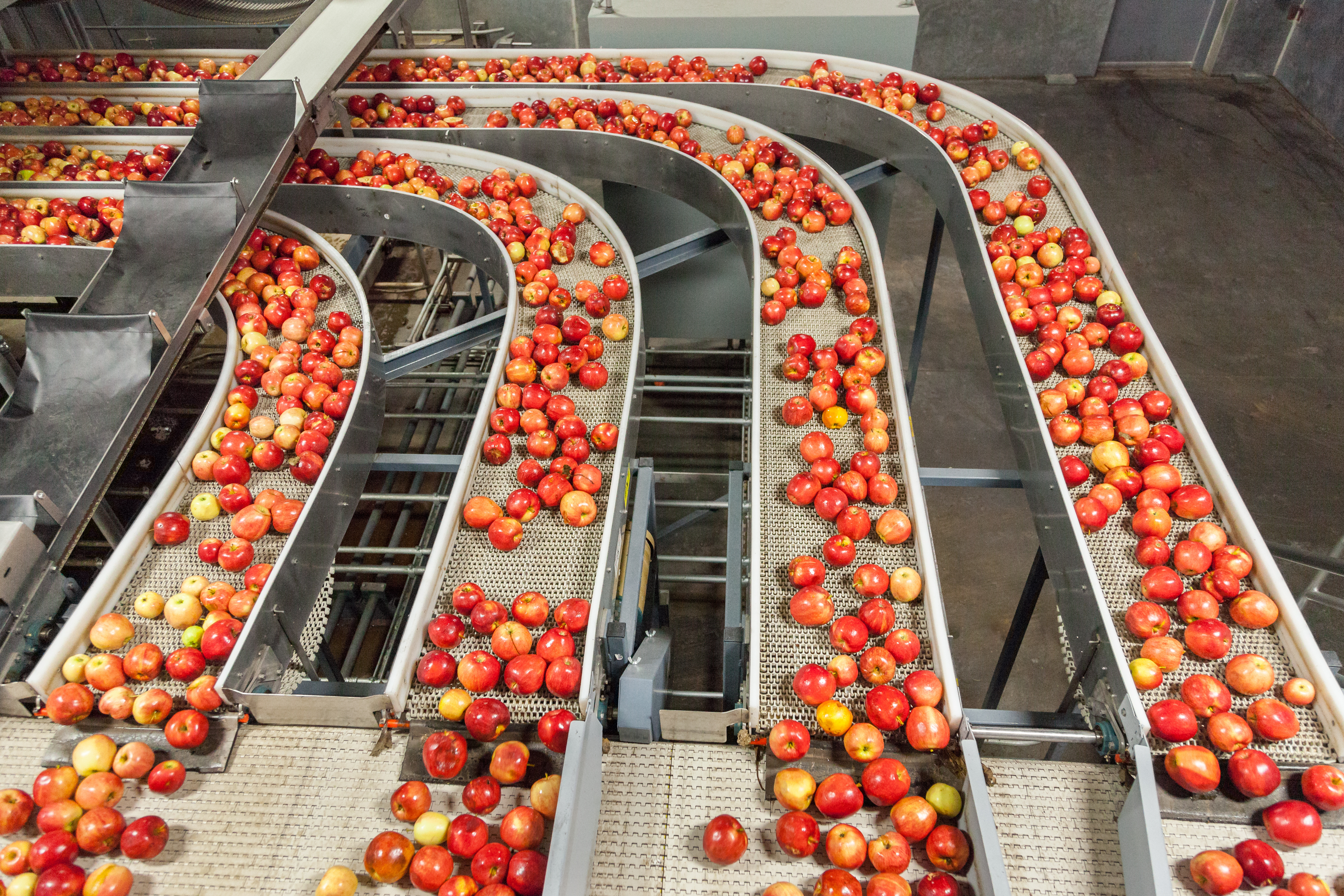 Apple Processing & Packaging Equipment