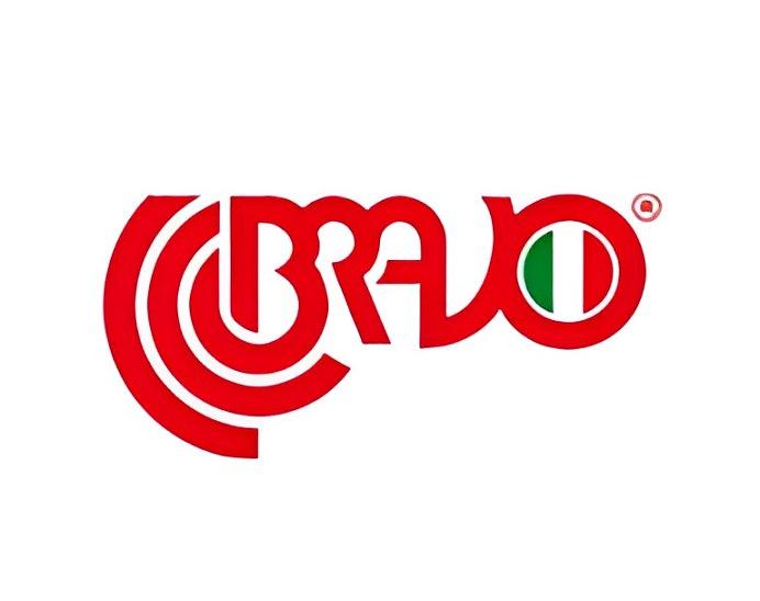bravo_logo-1 (1).jpg
