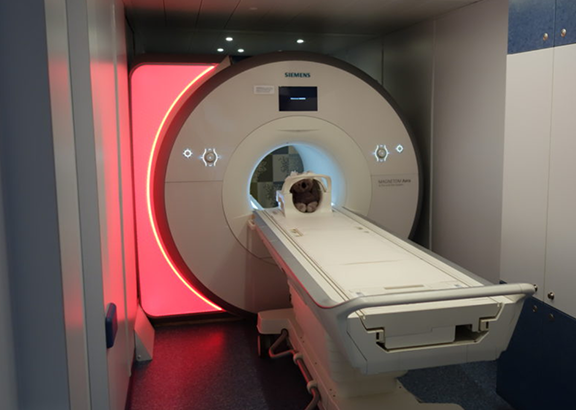 What are The Top 5 Mobile MRIs?