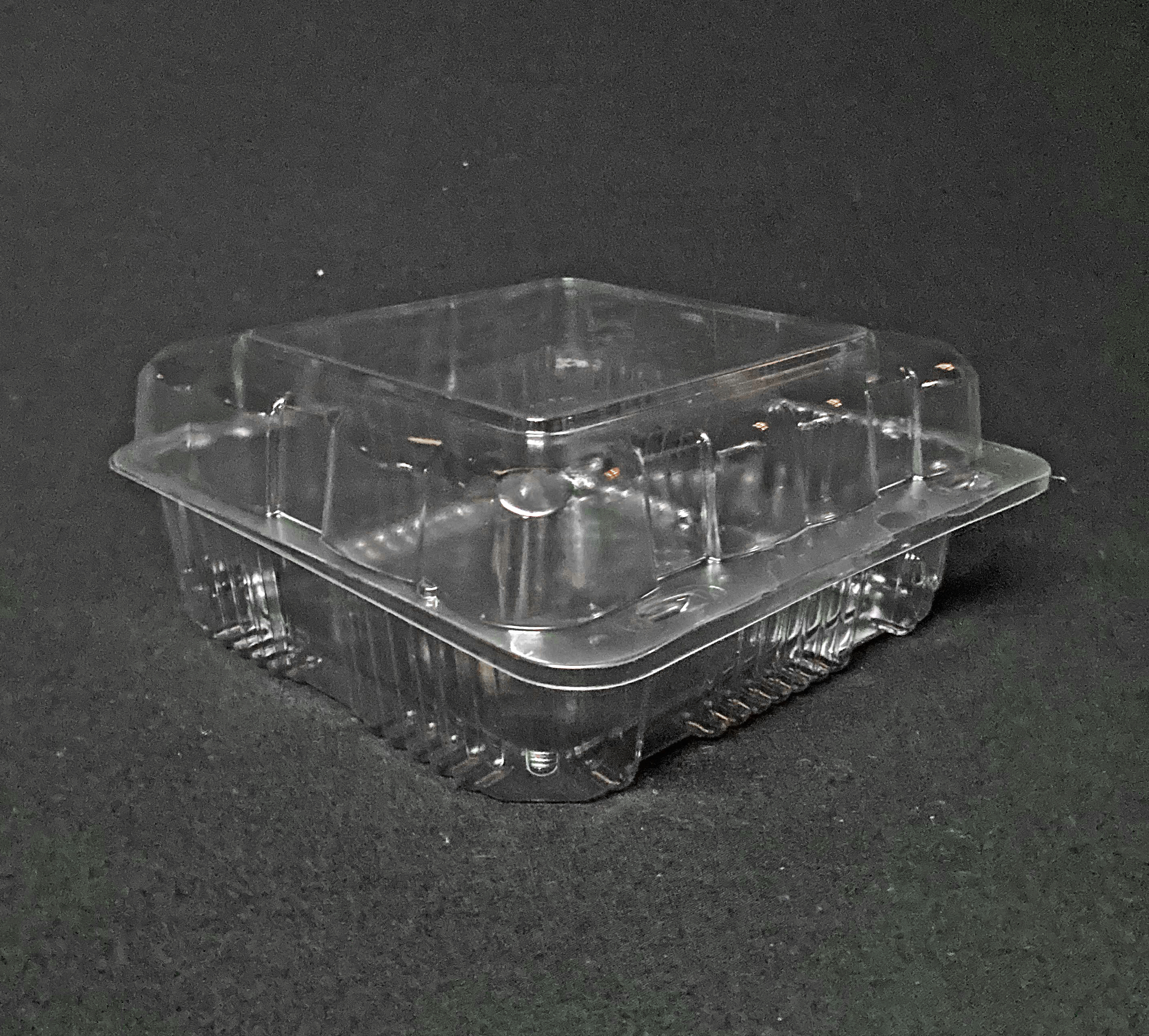 See-Through Plastic Food Containers -- Clamshell Display