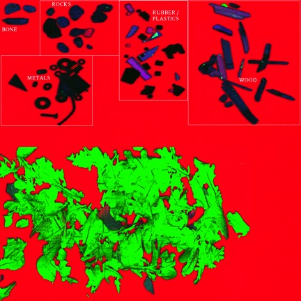 Industry Report - Sorting Fresh-Cut Produce