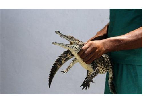 Are You Ready for ICD-10? It’s Not Too Late To Do These 5 Things