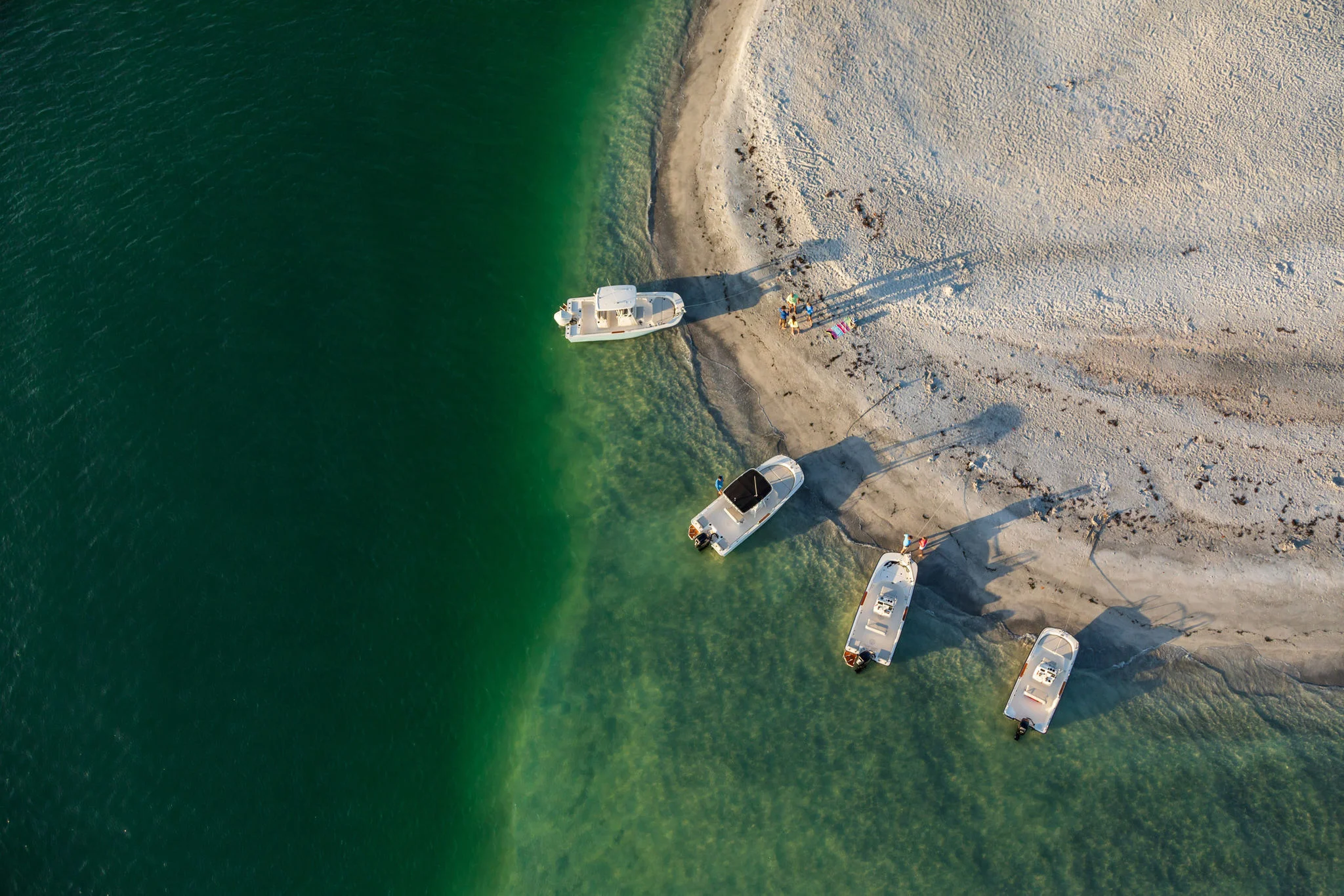 Montauk Flash Sale | Boston Whaler