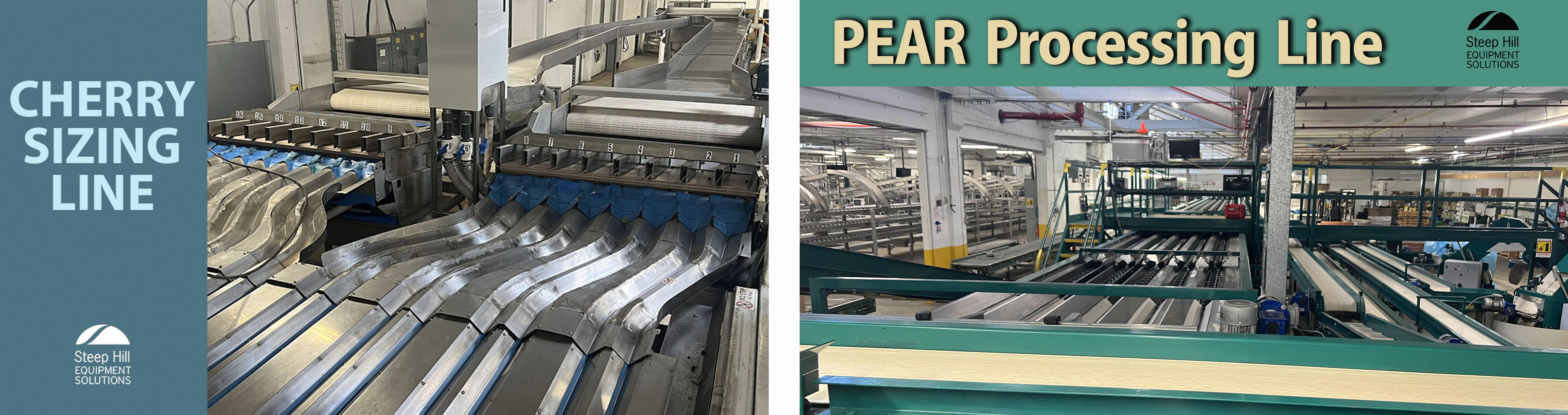 Cherry & Pear Processing Packaging Lines FOR SALE