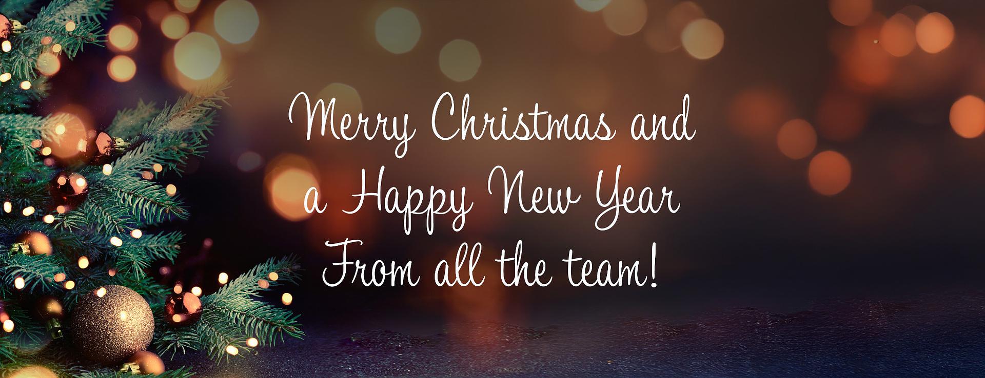 Christmas and New Year Opening Information