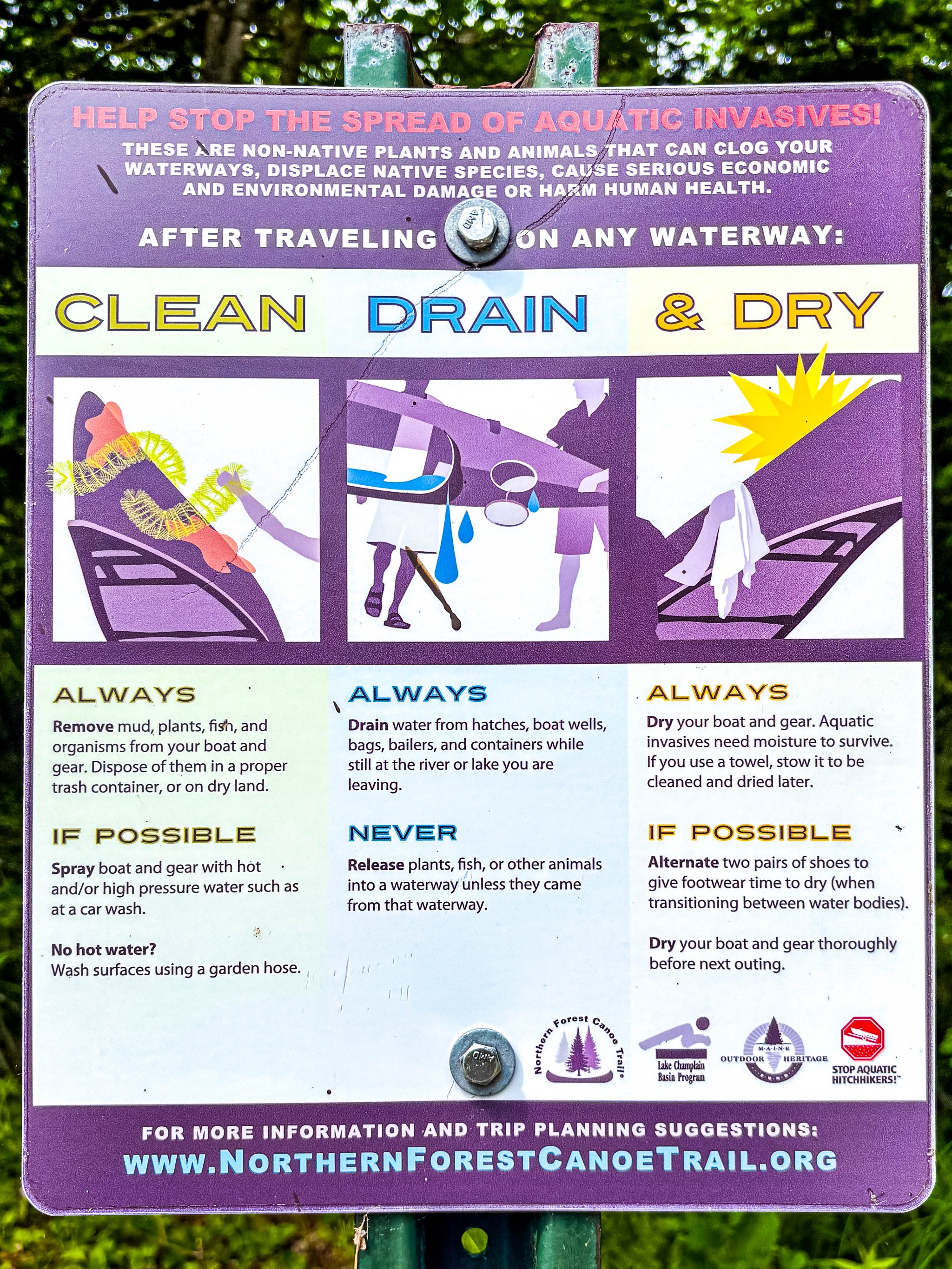 🚫 Maine’s Most Unwanted: Aquatic Invasive Plants Boaters Should Know