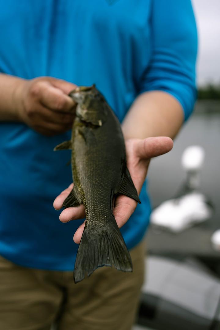 A Day on the Androscoggin: Fly Fishing, Smallmouth, and a Crestliner Pro Tiller