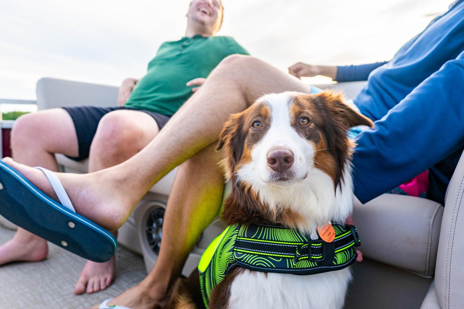 Clark Marine’s 2025 Show Season: Saddle Up for Big Deals!