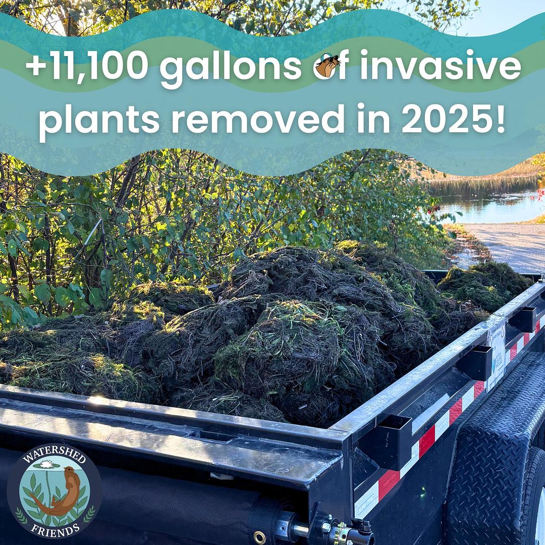 Earth Day in Maine: How Clark Marine’s Suzuki 442 Repower Program is Protecting Our Lakes