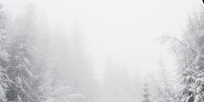 Important Update - Clark Marine Early Spring Boat Show