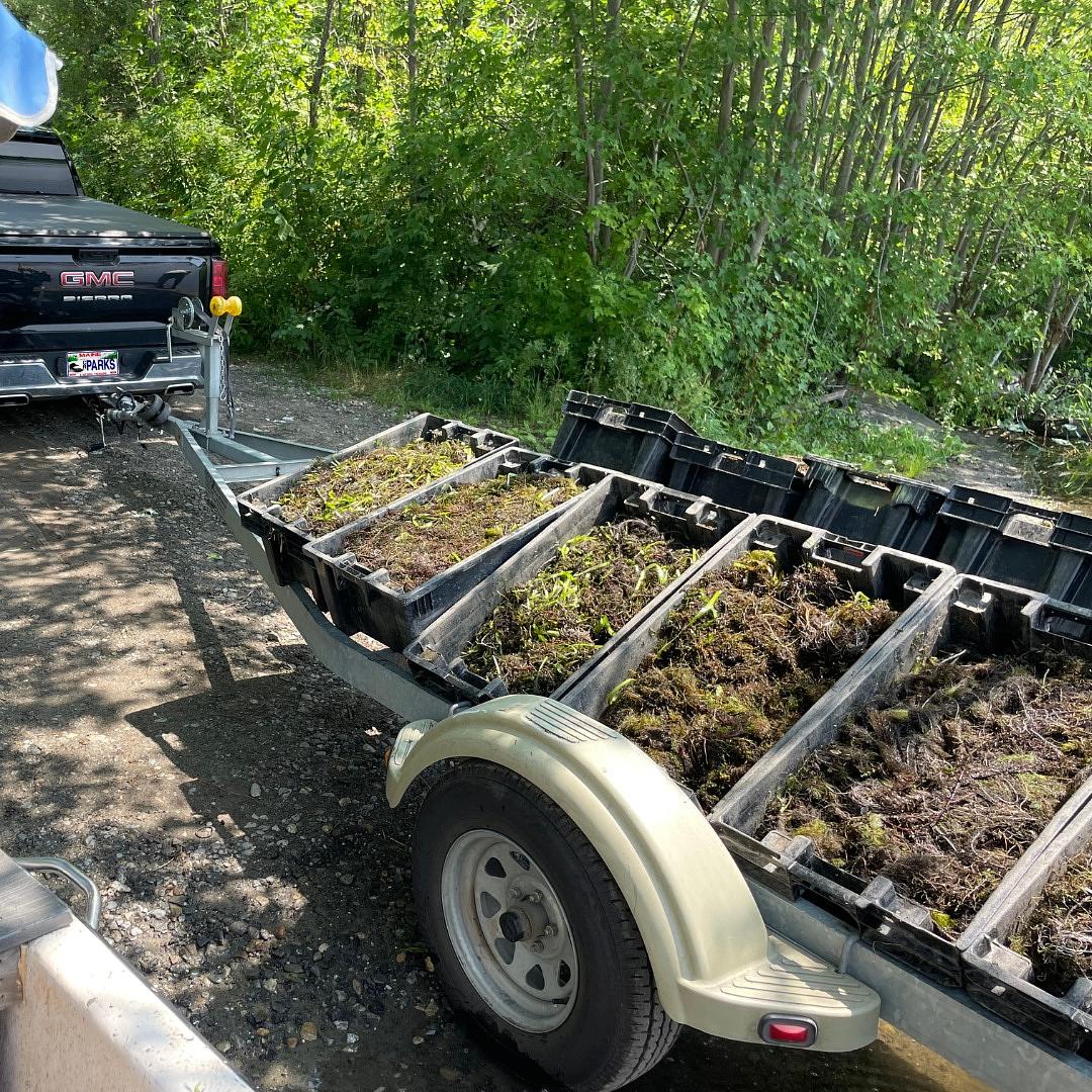 Why Maine Boaters Are Choosing the Suzuki 442 Repower Program at Clark Marine