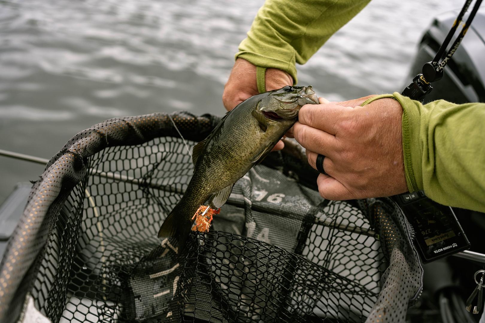 A Day on the Androscoggin: Fly Fishing, Smallmouth, and a Crestliner Pro Tiller