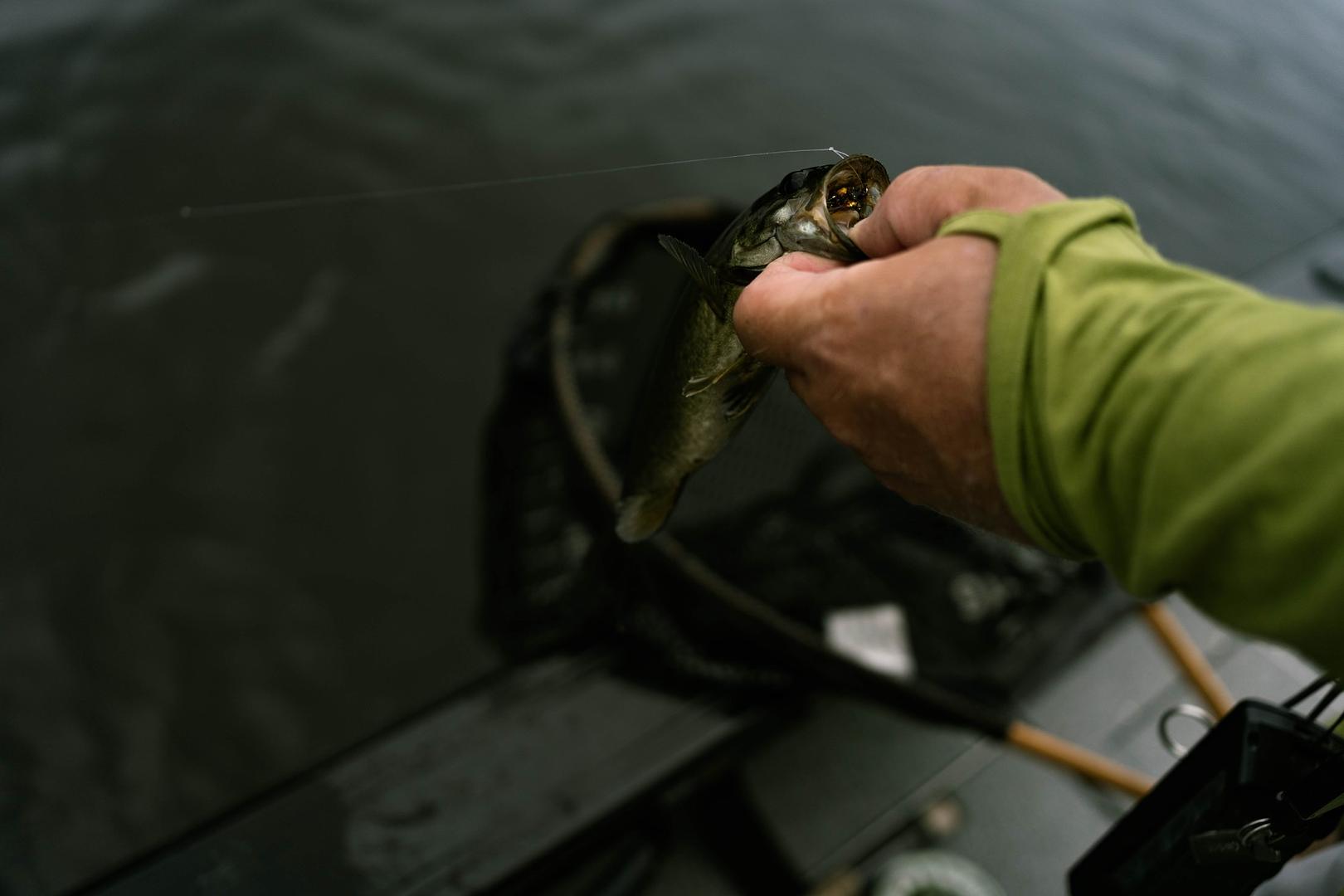 A Day on the Androscoggin: Fly Fishing, Smallmouth, and a Crestliner Pro Tiller