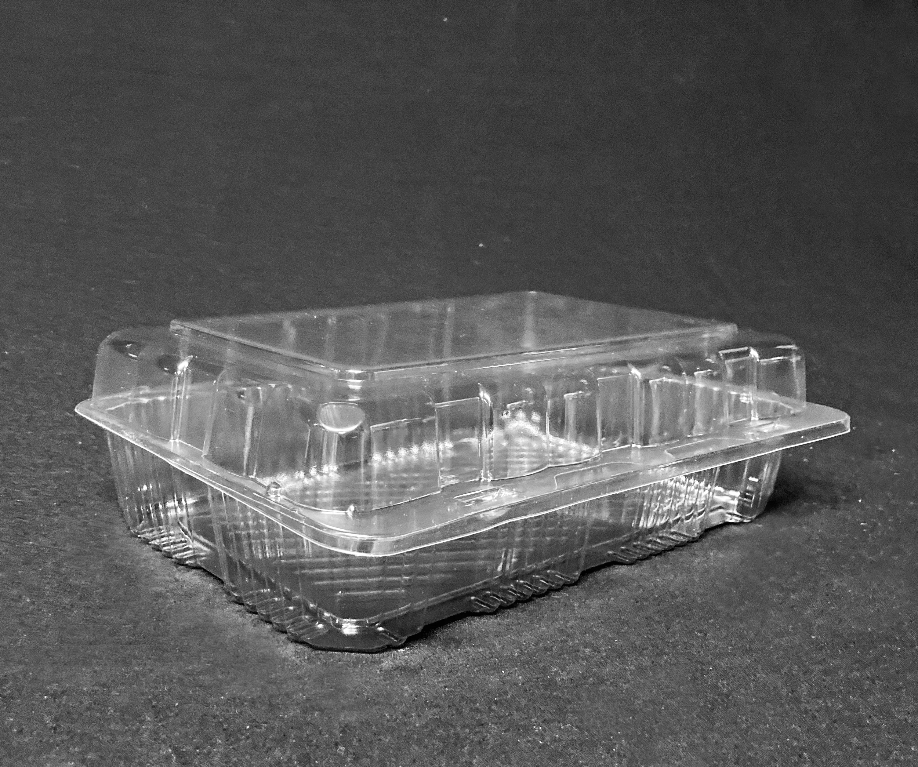 See-Through Plastic Food Containers -- Clamshell Display