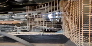 Play video