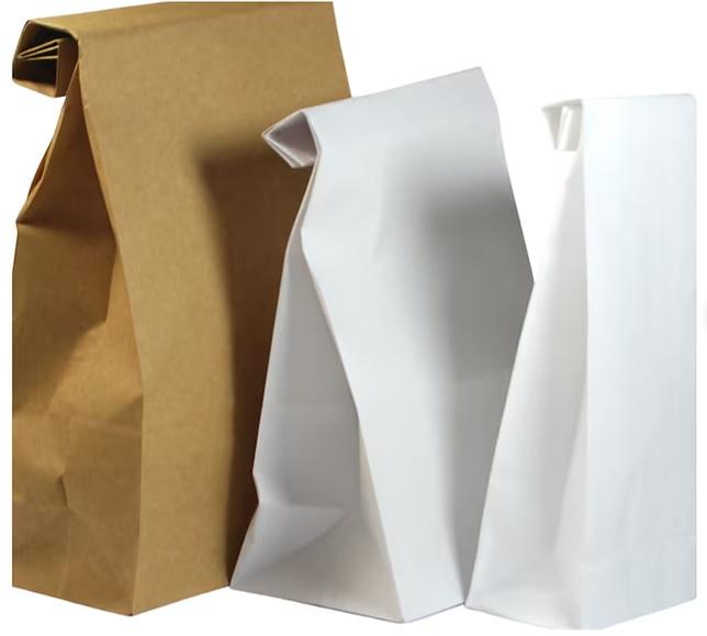 Paper Bags: Trends and Innovations in Sustainable Packaging