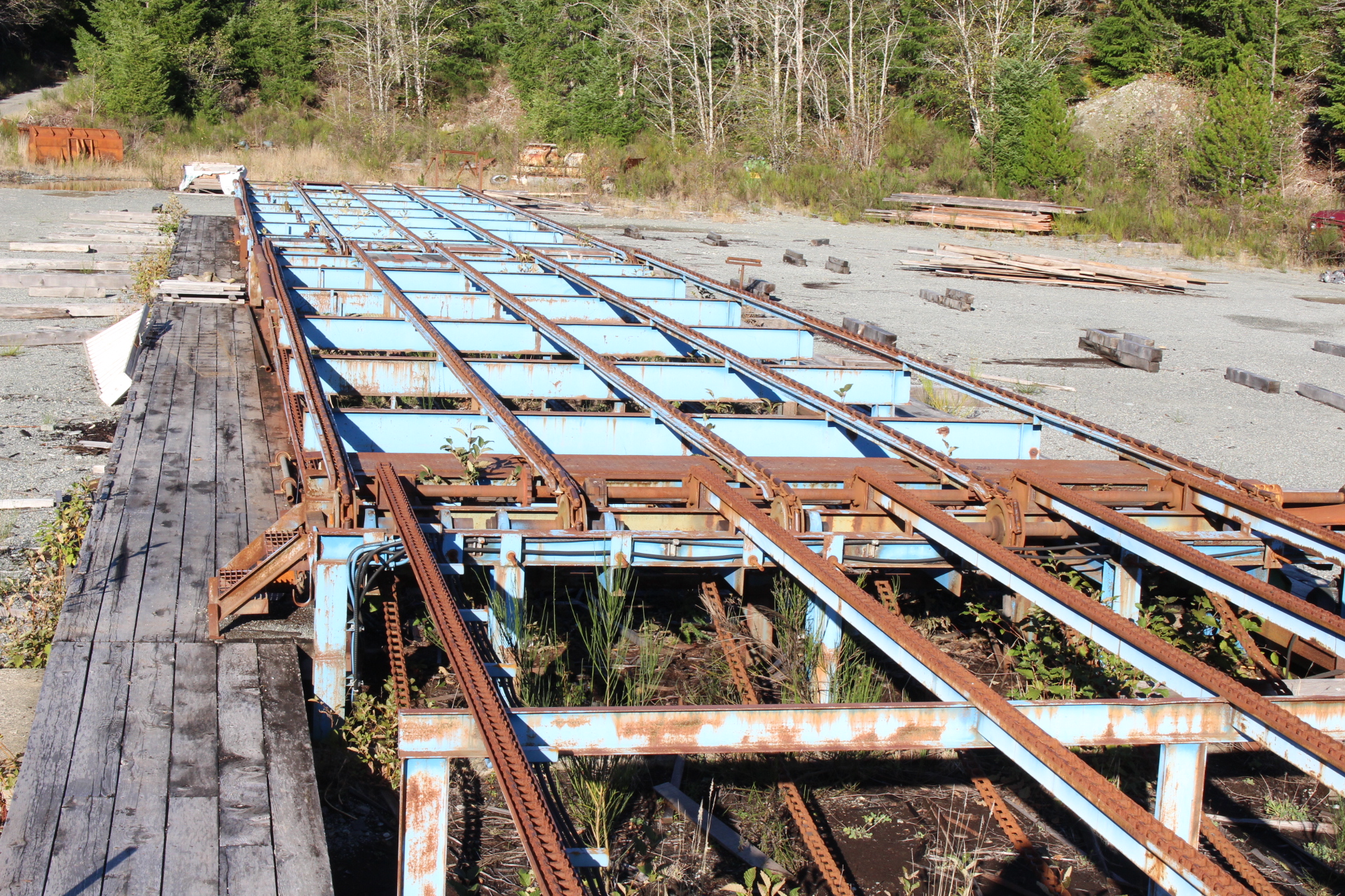 PAST AUCTION- B & L Forest Products Ltd- Gold River Sawmill 