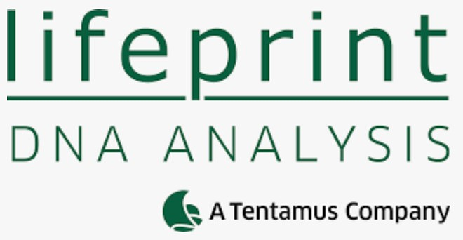 Shub Machinery - Power Engineering