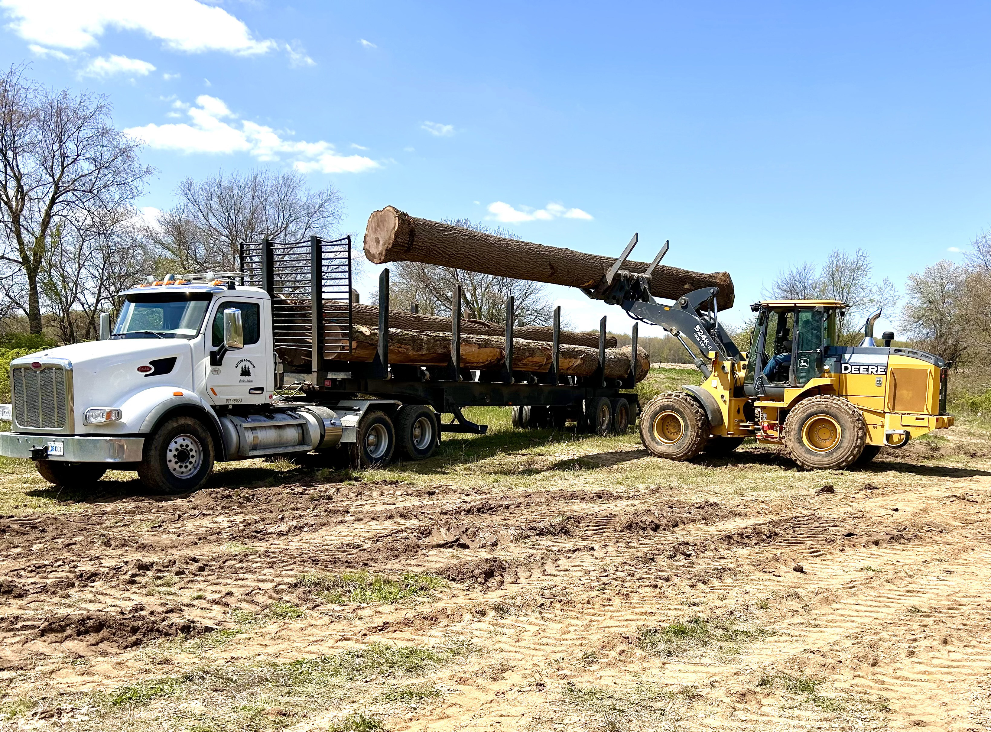 Conscientious Forestry