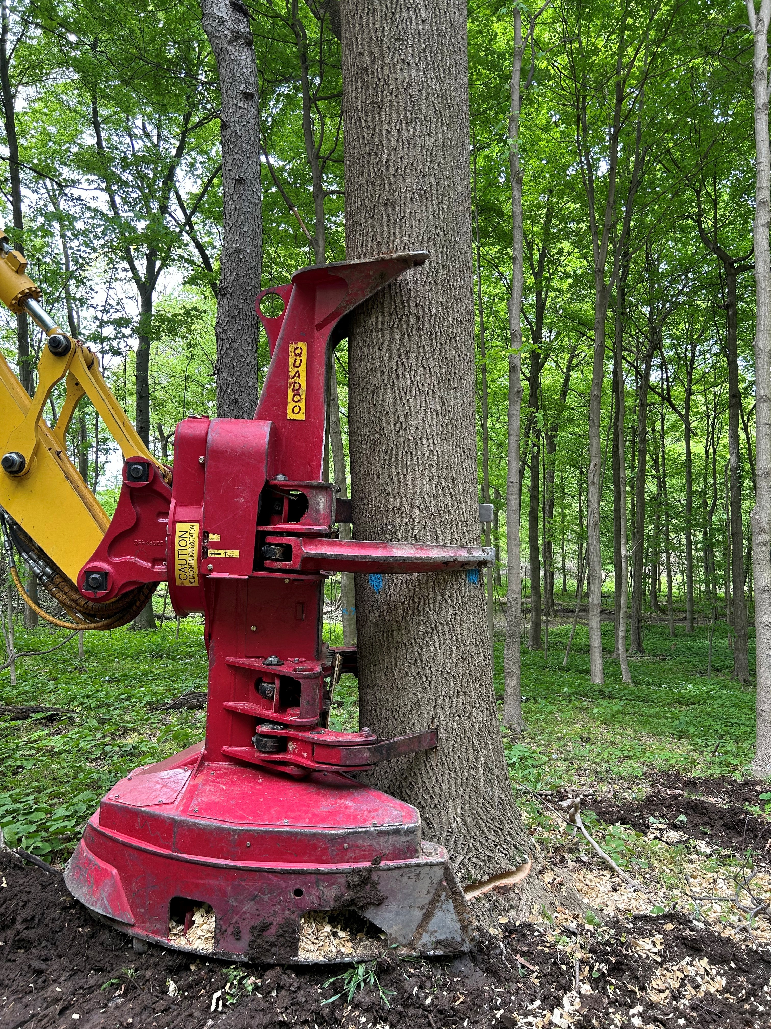 Transition to Mechanical Harvesting