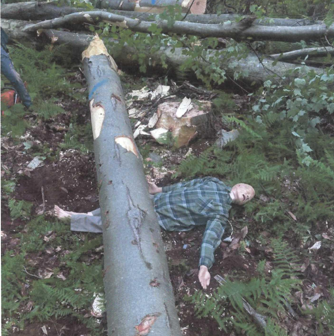 Logger Rescue Training