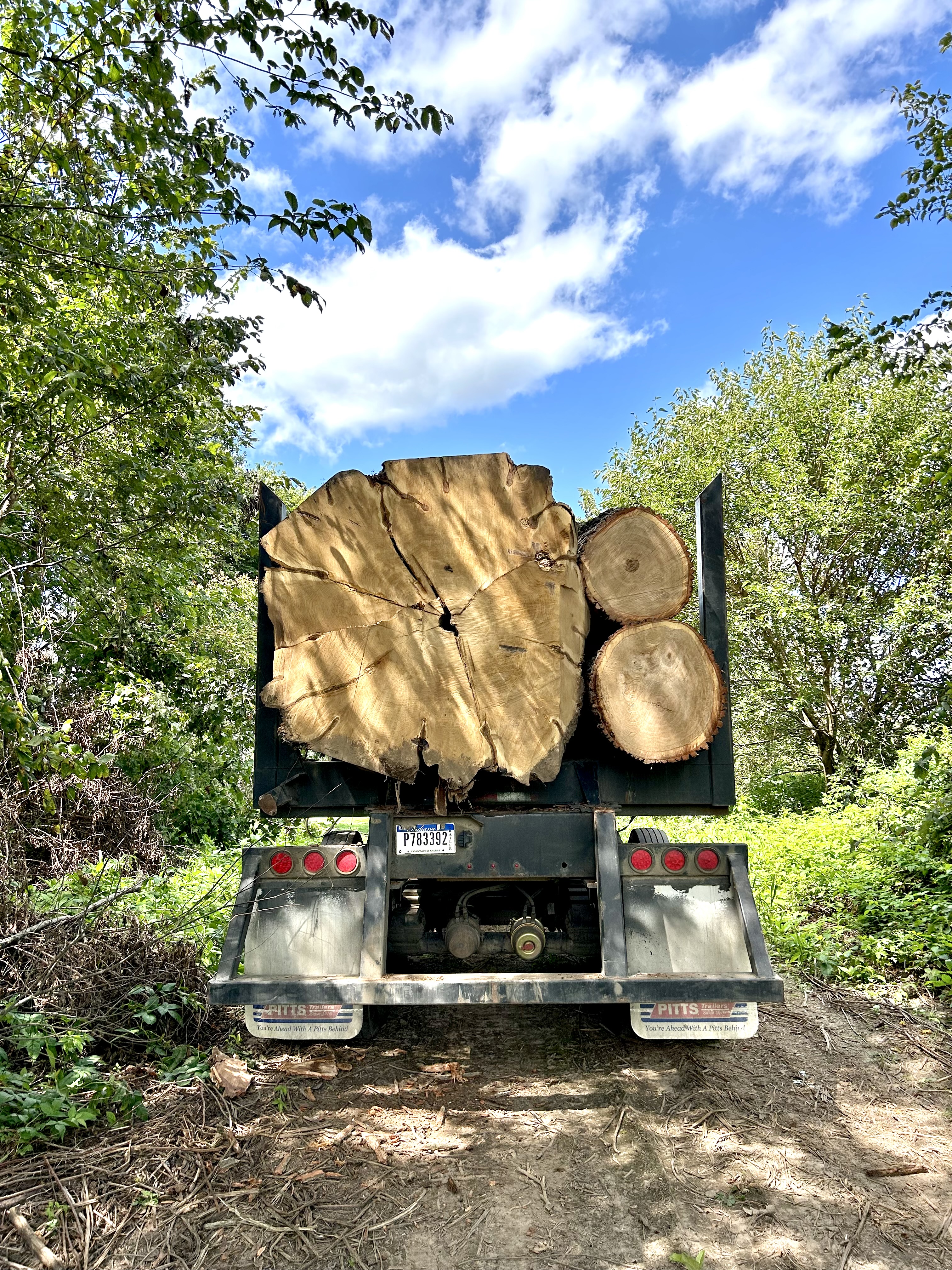 Big Timber