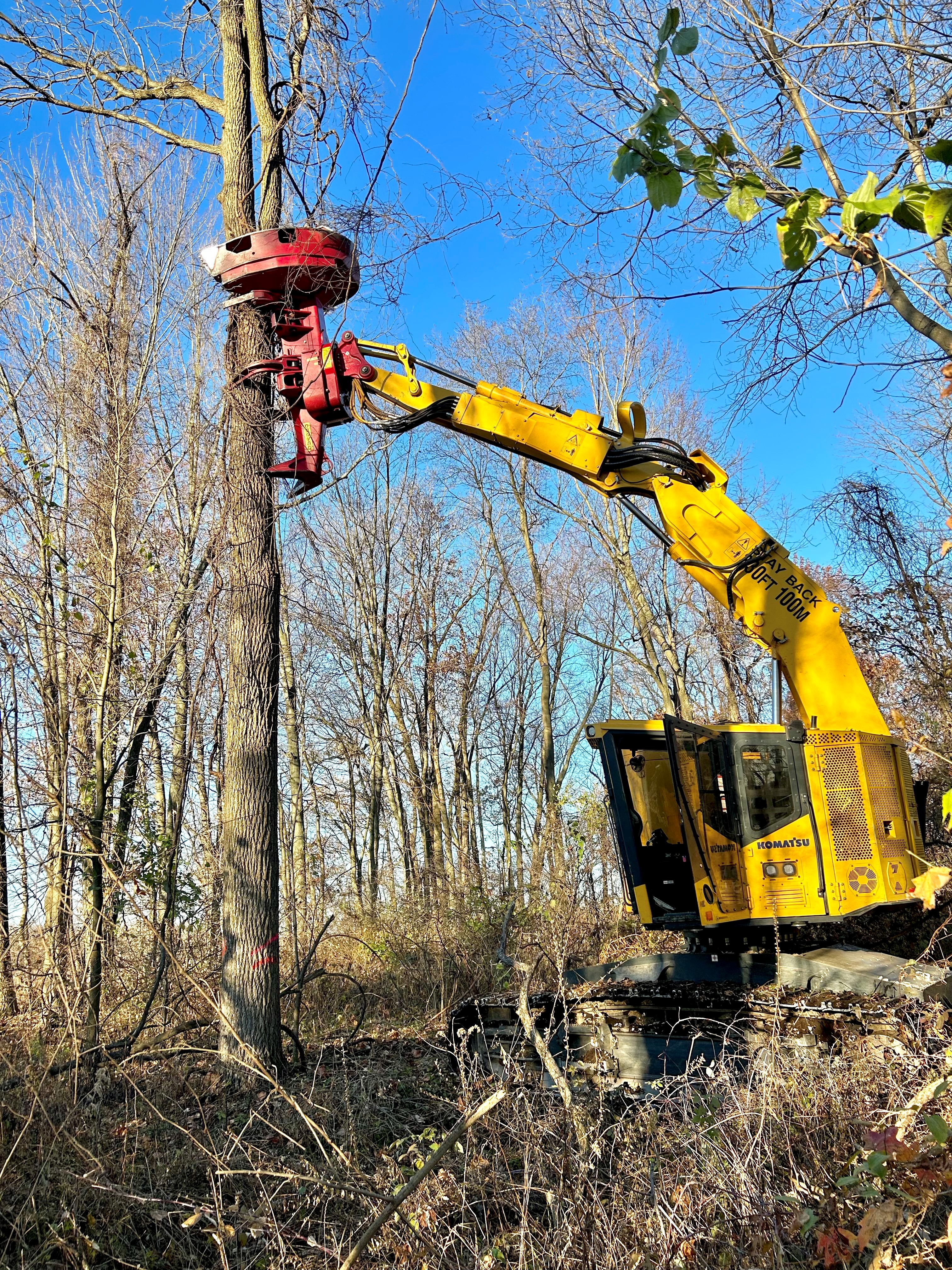 Benefits of Mechanical Harvesting
