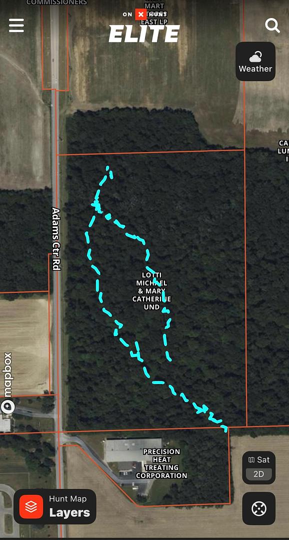 Stolen Timber Part 2