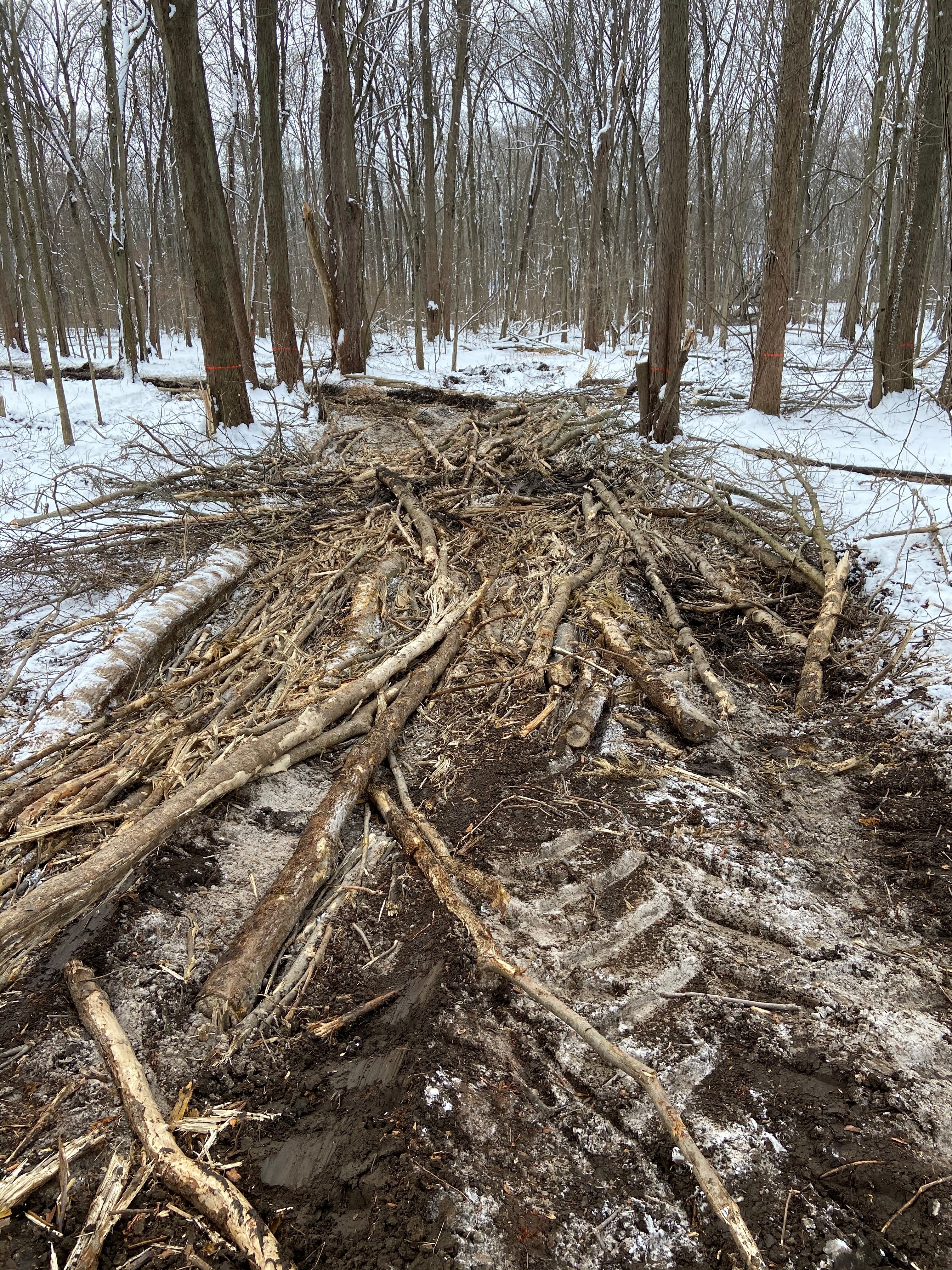 The Challenges of Mud