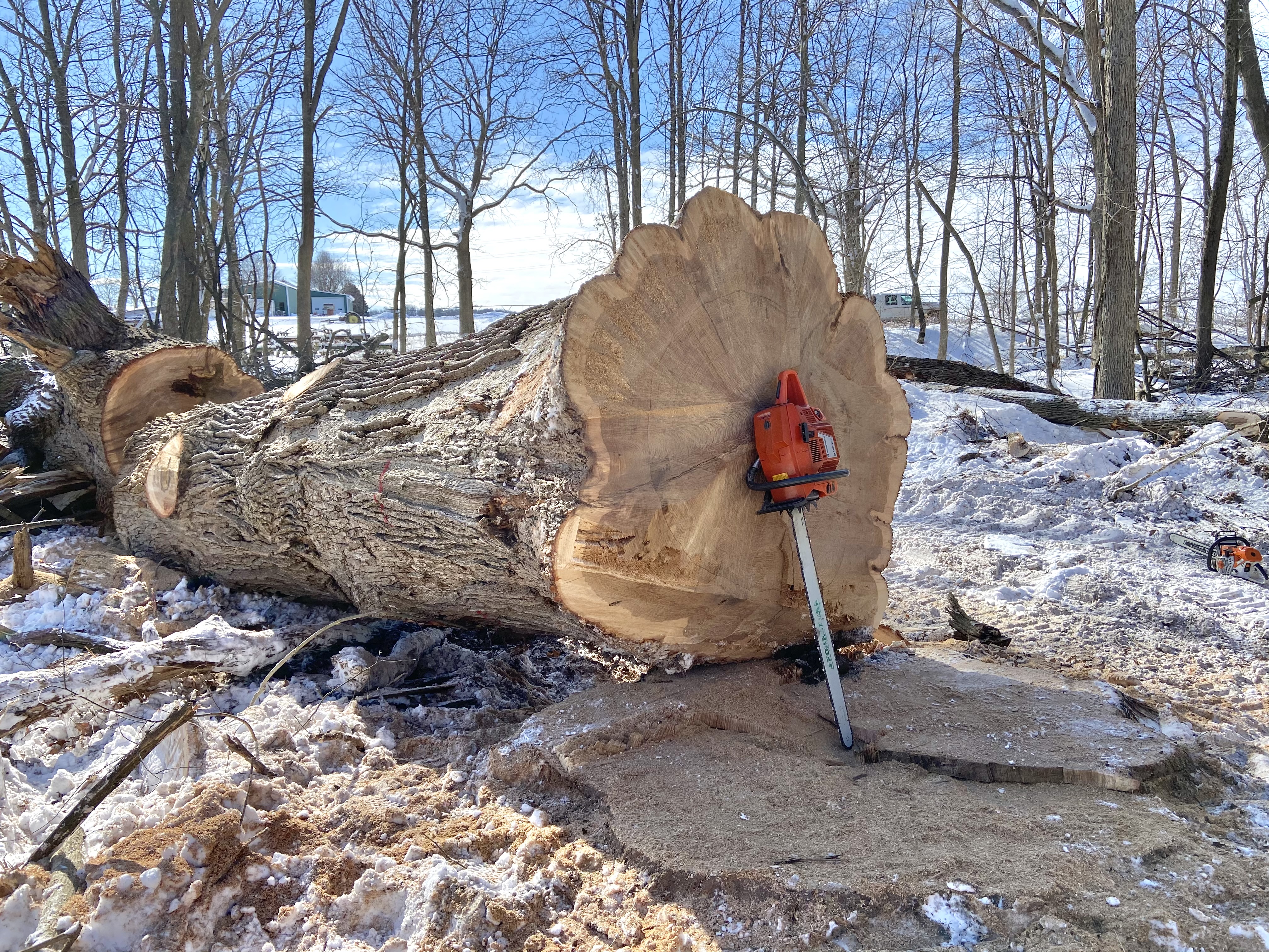 Big Timber