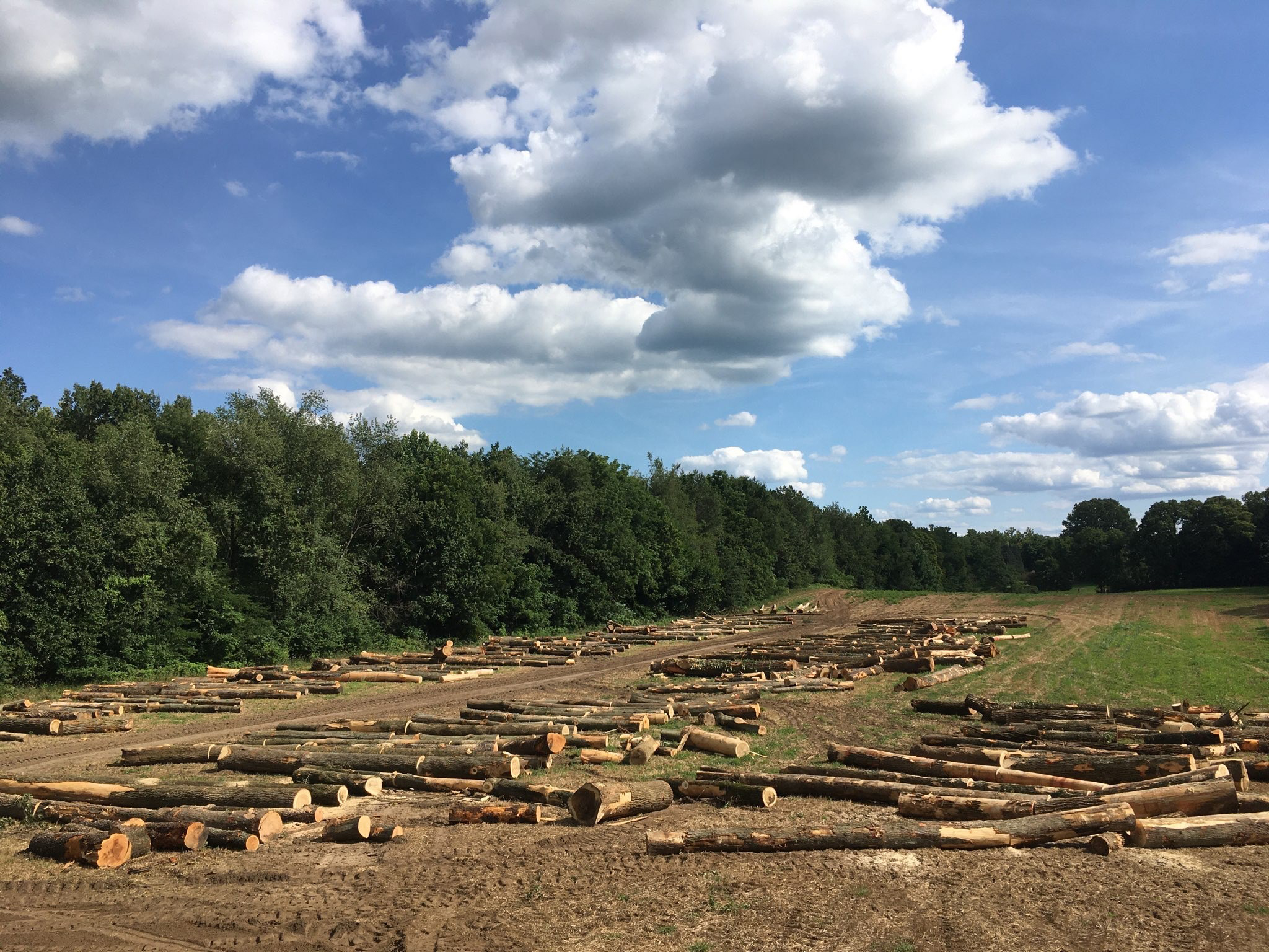 Logging Life - Operation Overview