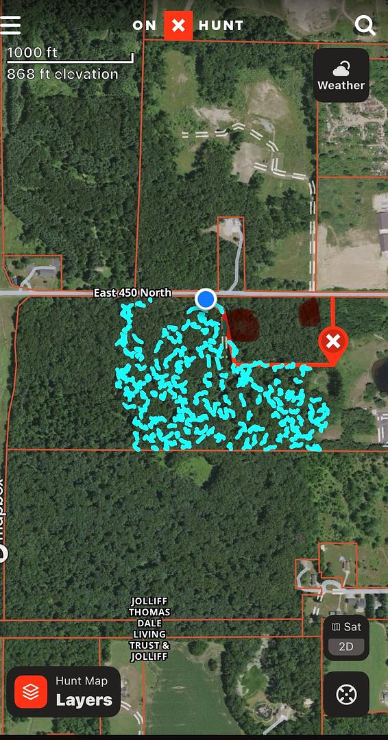 Stolen Timber Part 2