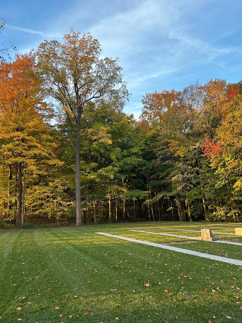 Stolen Timber - Part 1