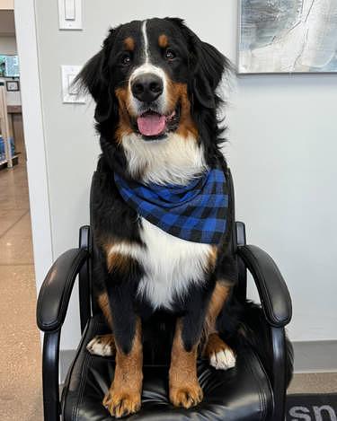 Shipping Where You Need It