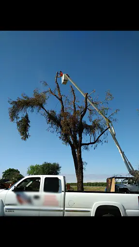 Storm damage repair Porterville CA