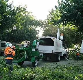 Land clearing Porterville CA