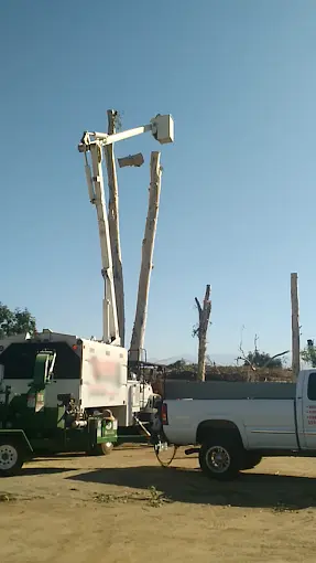 Tree service Visalia CA