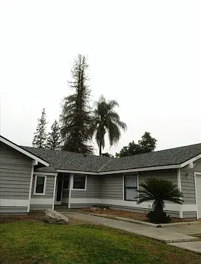 Tree removal Strathmore CA