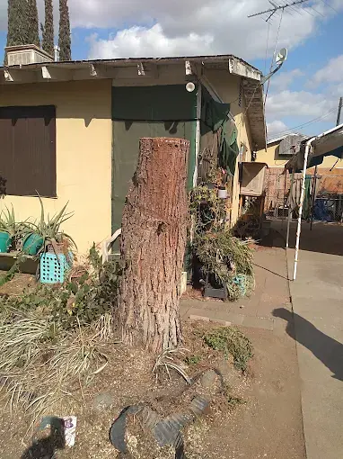 Stump removal Porterville CA