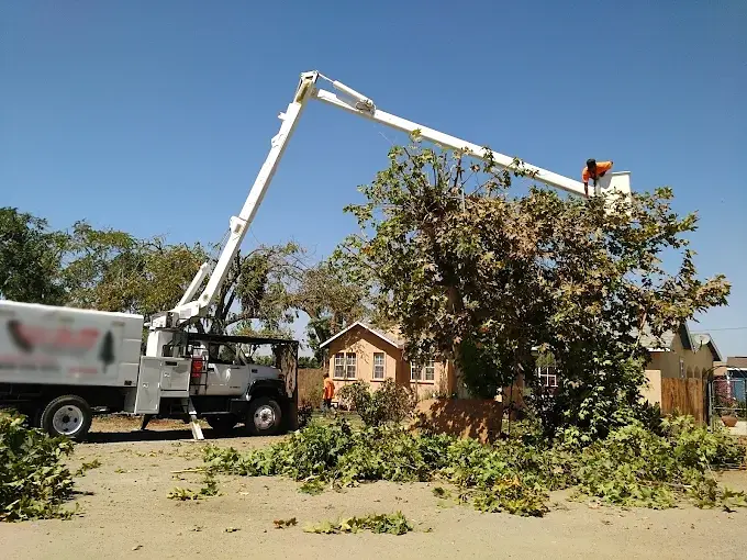 Storm damage repair Porterville CA