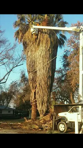 Land clearing Tulare CA