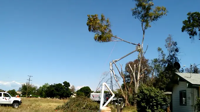 Brush chipping Porterville CA