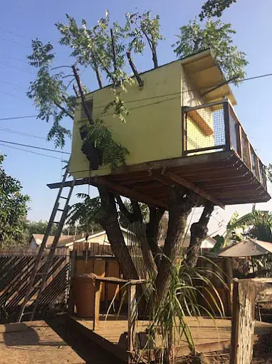 Tree removal Exeter CA