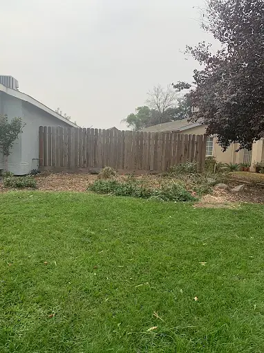 Tree pruning Porterville CA