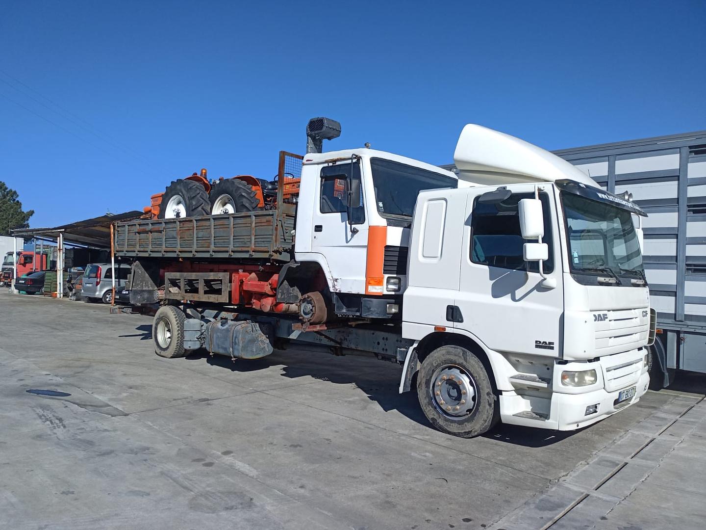 Grimaldi RoRo shipping of DAF CF 75.310 chassis cab truck loaded with Volvo FL7 tipper and two FIAT 640 farm tractors.