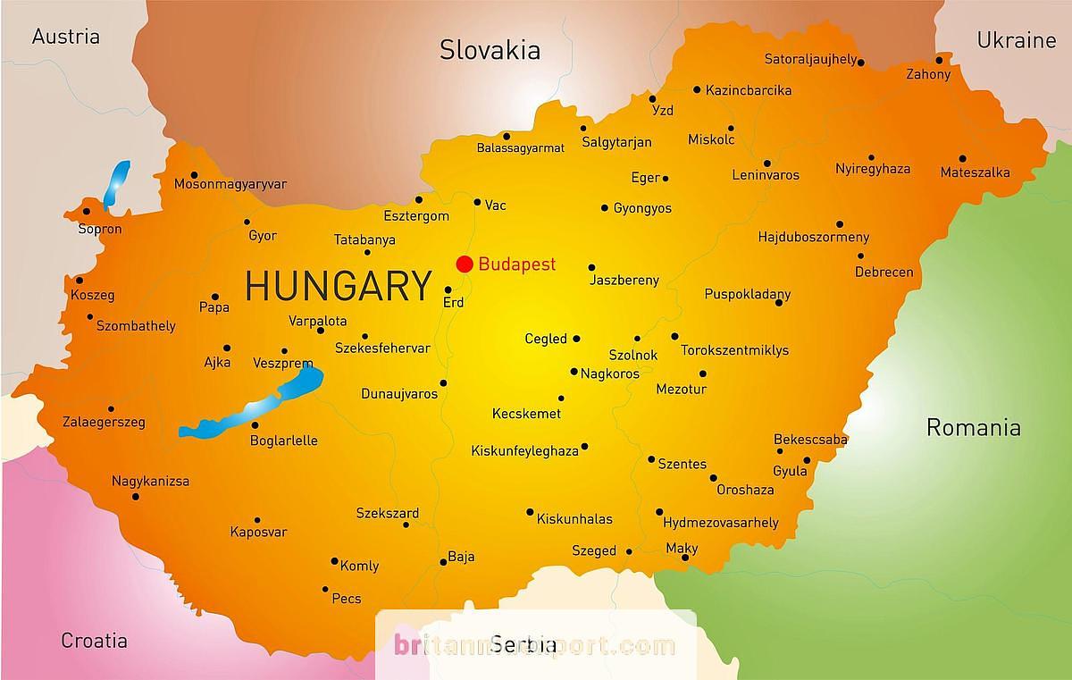 Bought a Vehicle or Machine in Hungary? Transport to Antwerp & Shipping to Africa