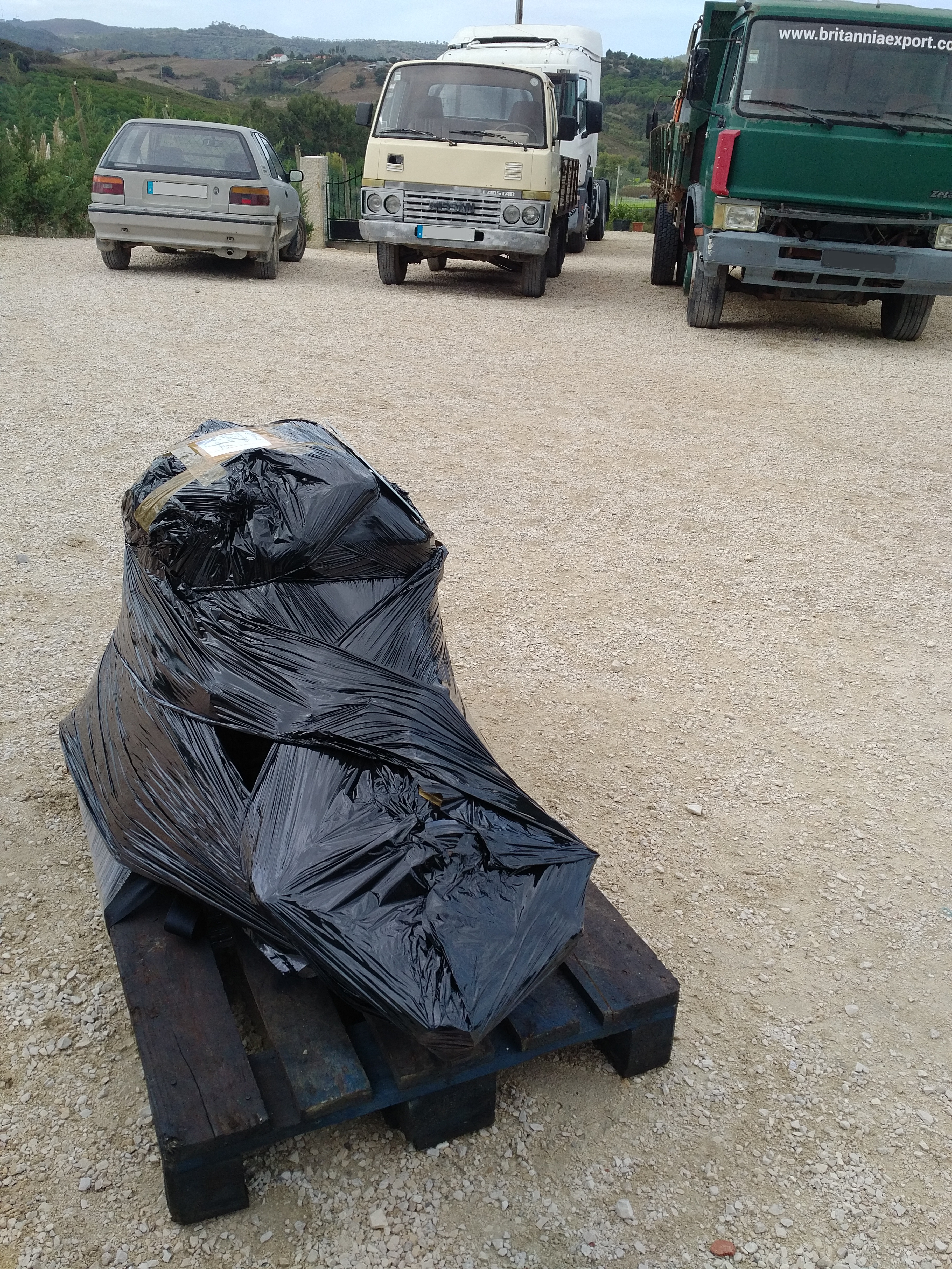 Transport & Delivery of Toyota B engine & gearbox complete to Colfosco BZ - Italy.