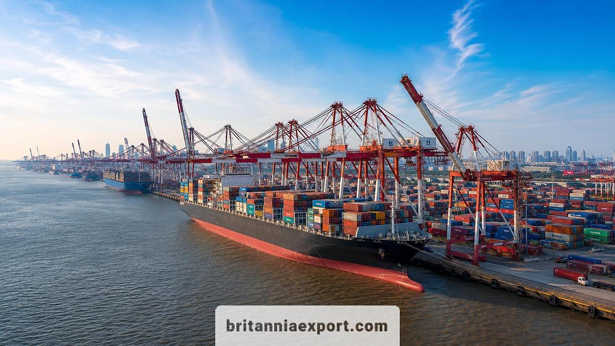 Shipping from Antwerp, Belgium to Shanghai, China – Container & RoRo Cargo Shipping Guide