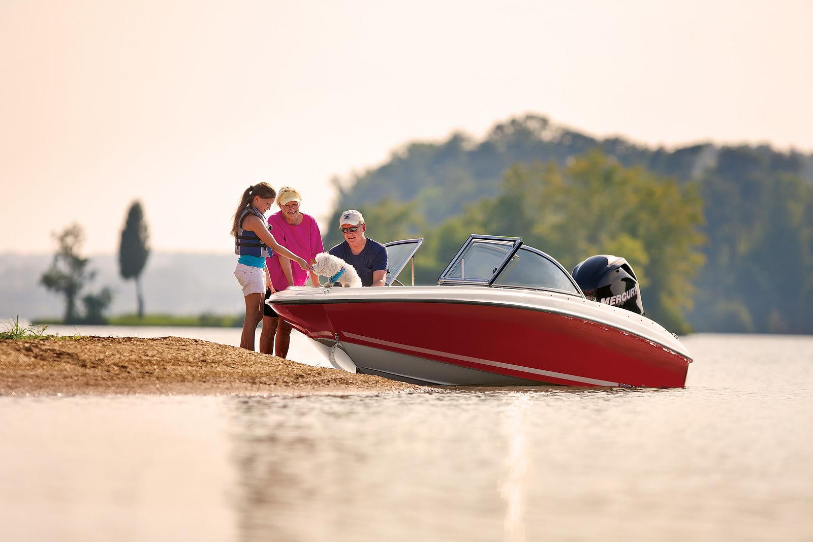 Promotion (Example Article