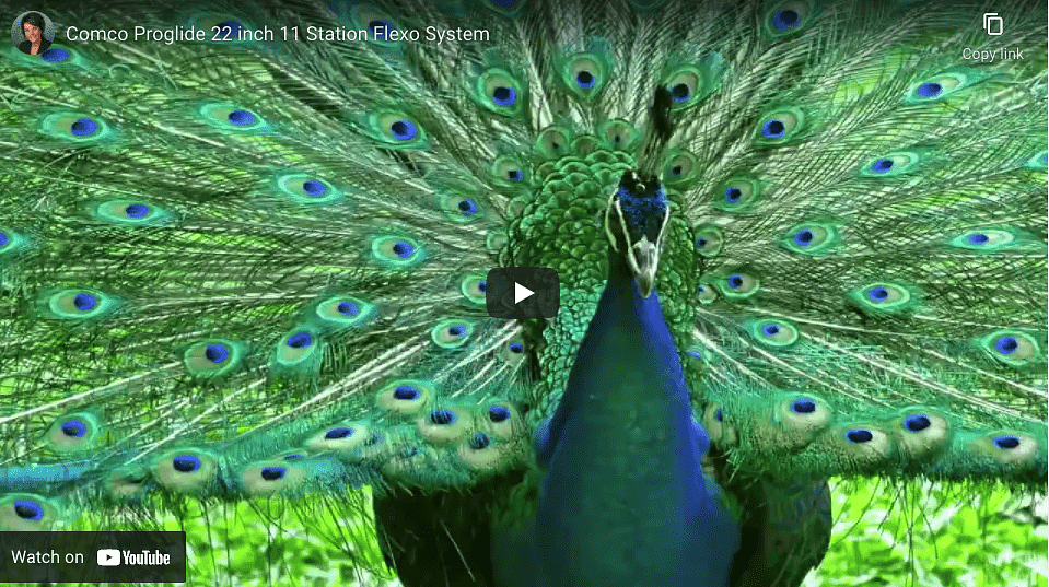 Strut Your Stuff With This Special Comco Proglide Opportunity